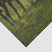 ハンター – The fox狩り- Tally-ho 1924 薄葉紙 (詳細)