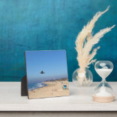 ハンチントンビーチ，カリフォルニア フォトプラーク (インサイチュ)