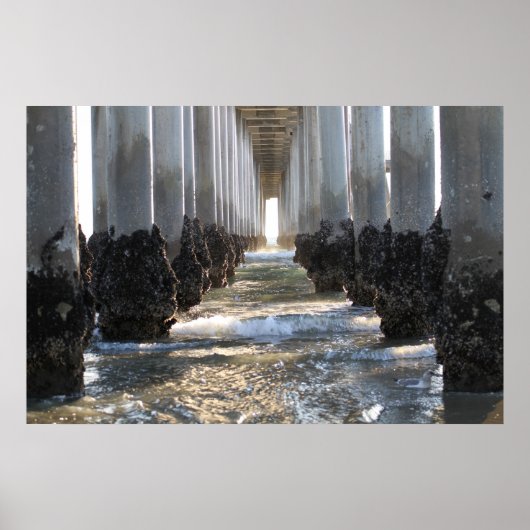 ハンティントンビーチカリフォルニア ポスター (正面)