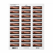 ハンティントンビーチカリフォルニカスタムア ラベル (フルシート)