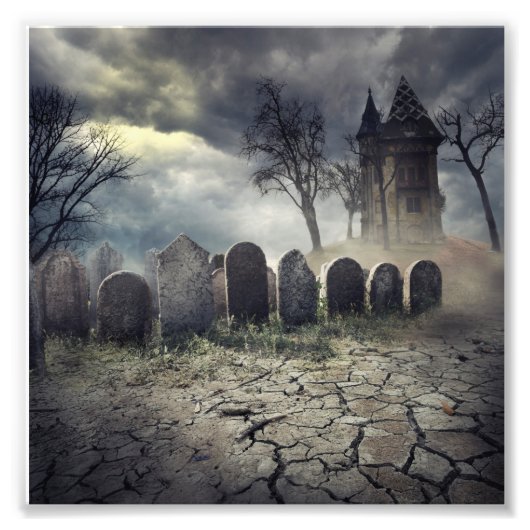 ハンテッドハウス フォトプリント            (正面)