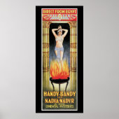 ハンディバンディ&ナディアナディルヴィンテージ魔法法 ポスター (正面)