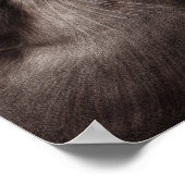 ハンドオ絵を描ータ – テンダーモーメント野生動物アート ポスター (角)