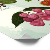 ハンドオ色彩の鮮やかクチックフィリピンの熱帯果実 ポスター (角)