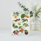 ハンドオ色彩の鮮やかクチックフィリピンの熱帯果実 ポストカード (スタンド正面)