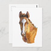 ハンドスケッチかわいいフォール装飾用クッションウッドwa ポストカード (正面/裏面)