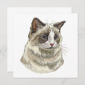 ハンドスケッチラッフィラグドール猫 招待状 (正面/裏面)