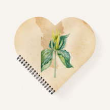 ハンドドロードウェイクロビン