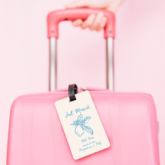 ハンドドロー結婚ドレモンのカスタム文字ラゲージタグ ラゲッジタグ