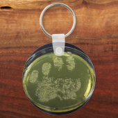 ハンドペトリディッシュ菌 キーホルダー (正面)