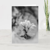 ハンドホールディングライリー – 白黒のお悔やみ カード (正面)