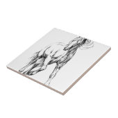 ハンドメイド馬のスケッチのスケッチの芸術 タイル (側面)