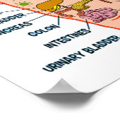 ハンドリフレクソロジー13x12インチ ポスター (角)