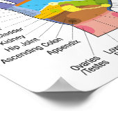 ハンドリフレクソロジー16x11インチ ポスター (角)