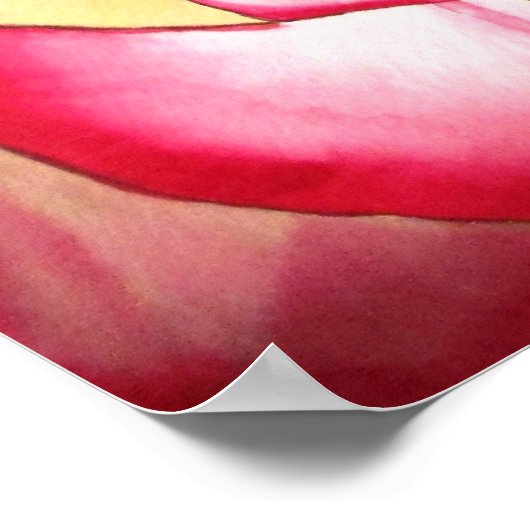 ハンナゴードンピンクのローズウォーターのカラーアート ポスター (角)