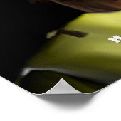 ハンニバル・バルカのポスター ポスター (角)