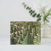 ハンネウェル氏の敷地、ウェルズリー、ミサの景色 ポストカード (スタンド正面)