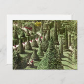 ハンネウェル氏の敷地、ウェルズリー、ミサの景色 ポストカード (正面/裏面)