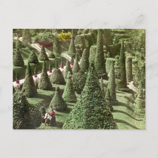 ハンネウェル氏の敷地、ウェルズリー、ミサの景色 ポストカード (正面)