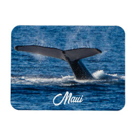 ハンバッククジラ写真オンマウイ マグネット