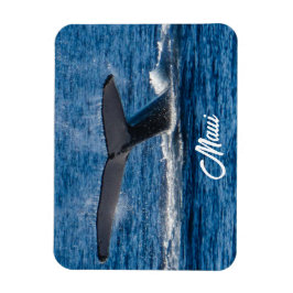 ハンバッククジラ写真オンマウイ マグネット