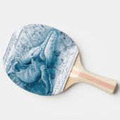 ハンバックスブルーヴィンテージマップ 卓球ラケット (横)