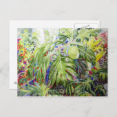 ハンバーガーのような見た目の果物 ポストカード (正面/裏面)