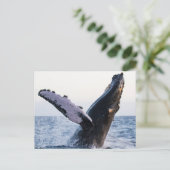 ハンパバックホエールハガキ ポストカード (スタンド正面)