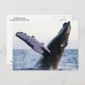 ハンパバックホエールハガキ ポストカード (正面/裏面)