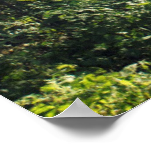 ハンブルクで晴れた10月の朝 ポスター (角)