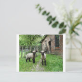 ハンプシャーダウンランプ葉書 ポストカード (スタンド正面)