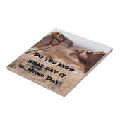 ハンプデイラクレス タイル (側面)