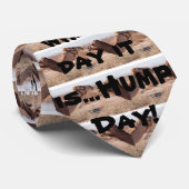 ハンプデイラクレス ネクタイ (ロール)