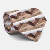 ハンプデイラクレス ネクタイ (ロール)