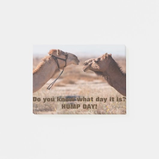 ハンプデイラクレス ポストイット (正面)