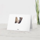 ハンプデメリーークリスマスラクダウーウー シーズンカード (裏面)