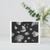 ハンプトンズシーシェルのポストカード ポストカード (スタンド正面)