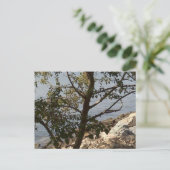 ハンプトン、VAのチェサピーク湾の眺め ポストカード (スタンド正面)