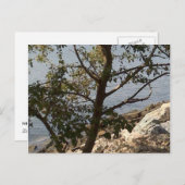 ハンプトン、VAのチェサピーク湾の眺め ポストカード (正面/裏面)