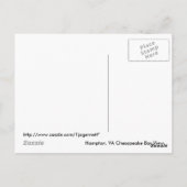 ハンプトン、VAのチェサピーク湾の眺め ポストカード (裏面)