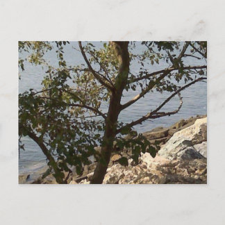 ハンプトン、VAのチェサピーク湾の眺め ポストカード