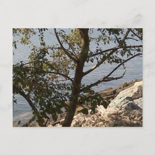 ハンプトン、VAのチェサピーク湾の眺め ポストカード (正面)