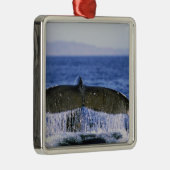 ハンプバック尾。 メタルオーナメント (右)