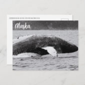 ハンプバック違反(白黒) ポストカード (正面/裏面)