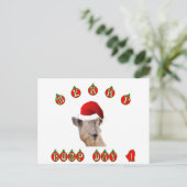 ハンプメリーデイハンプデイカメル シーズンポストカード (スタンド正面)