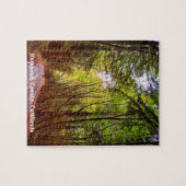 ハンボルト秋の緑の木々を抜けるウェットロード ジグソーパズル (横)