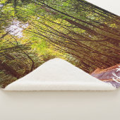 ハンボルト秋の緑の木々を通る湿った道 シェルパブランケット (3/4)