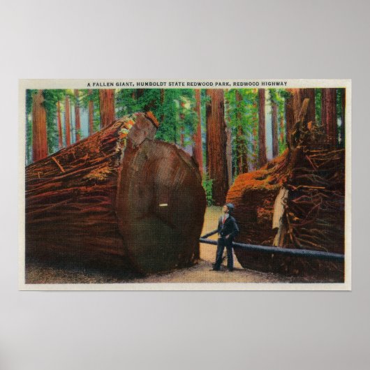 ハンボ落ちたルト州公園 ポスター (正面)