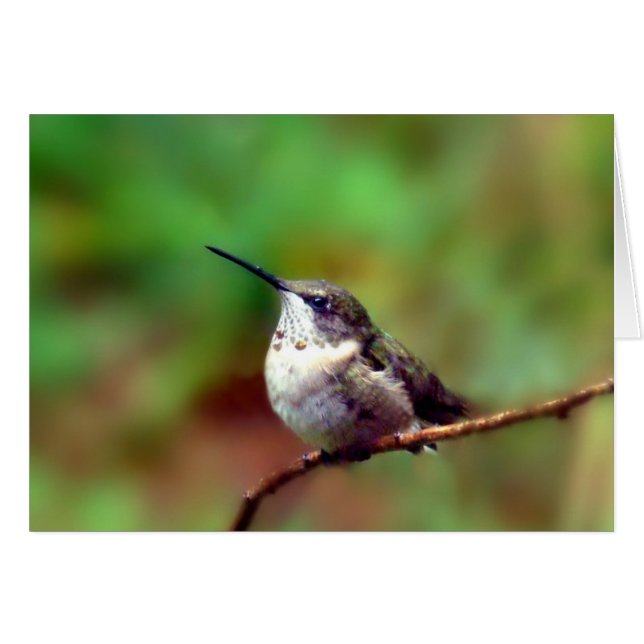 ハンマーアットレスト (正面横)