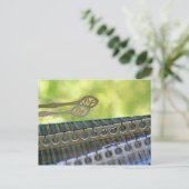 ハンマーダルシマーマレット ポストカード (スタンド正面)